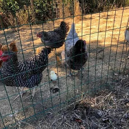 La Clef Des Champs - Vue Imprenable - Piscine *