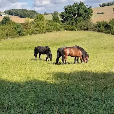 Chalet La Clef Des Champs - Vue Imprenable - Piscine Sajas