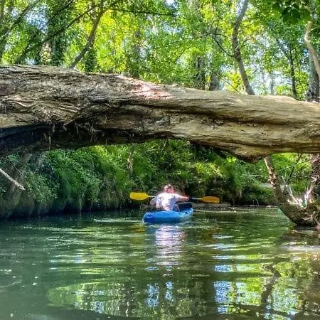 La Clef Des Champs - Vue Imprenable - Piscine Chalet Sajas