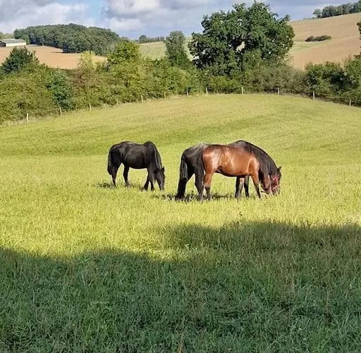 Шале La Clef Des Champs - Vue Imprenable - Piscine Sajas
