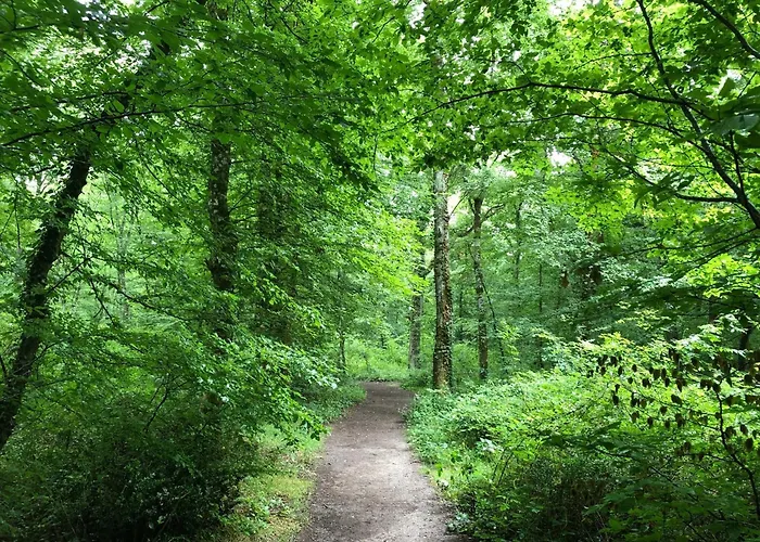 La Clef Des Champs - Vue Imprenable - Piscine Sajas