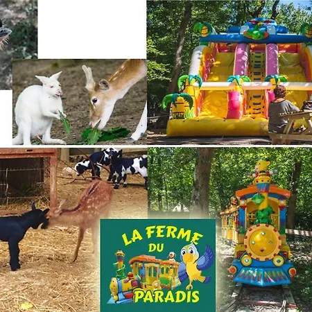 La Clef Des Champs - Vue Imprenable - Piscine