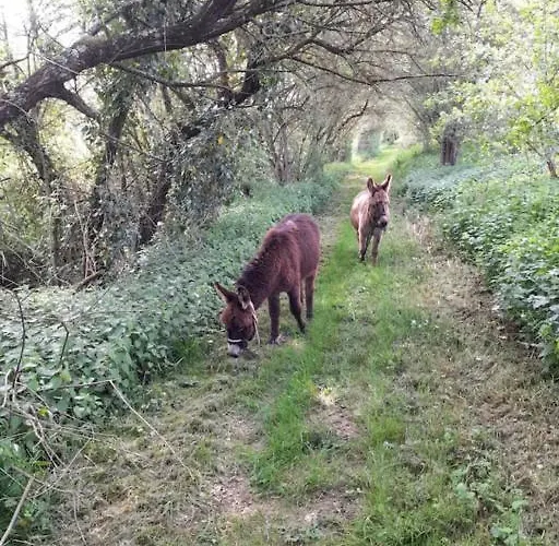 Chalet La Clef Des Champs - Vue Imprenable - Piscine *