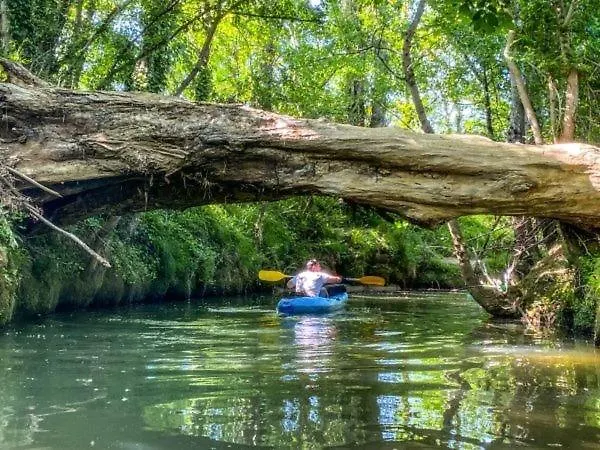 La Clef Des Champs - Vue Imprenable - Piscine Chalet Sajas