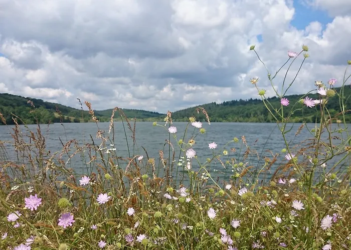 La Clef Des Champs - Vue Imprenable - Piscine